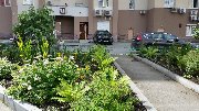 20170710_105125.jpg