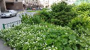 20170710_105534.jpg