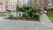 20170710_105131.jpg