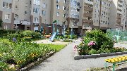 20170710_105302.jpg