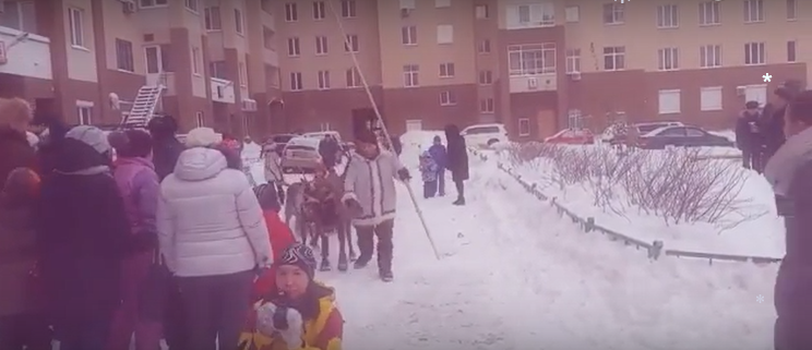 Детский праздник у елочки 2016г.